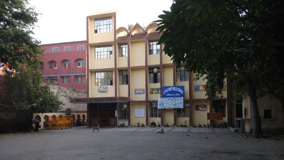 Little Fairy Public School, Ashok Vihar campus